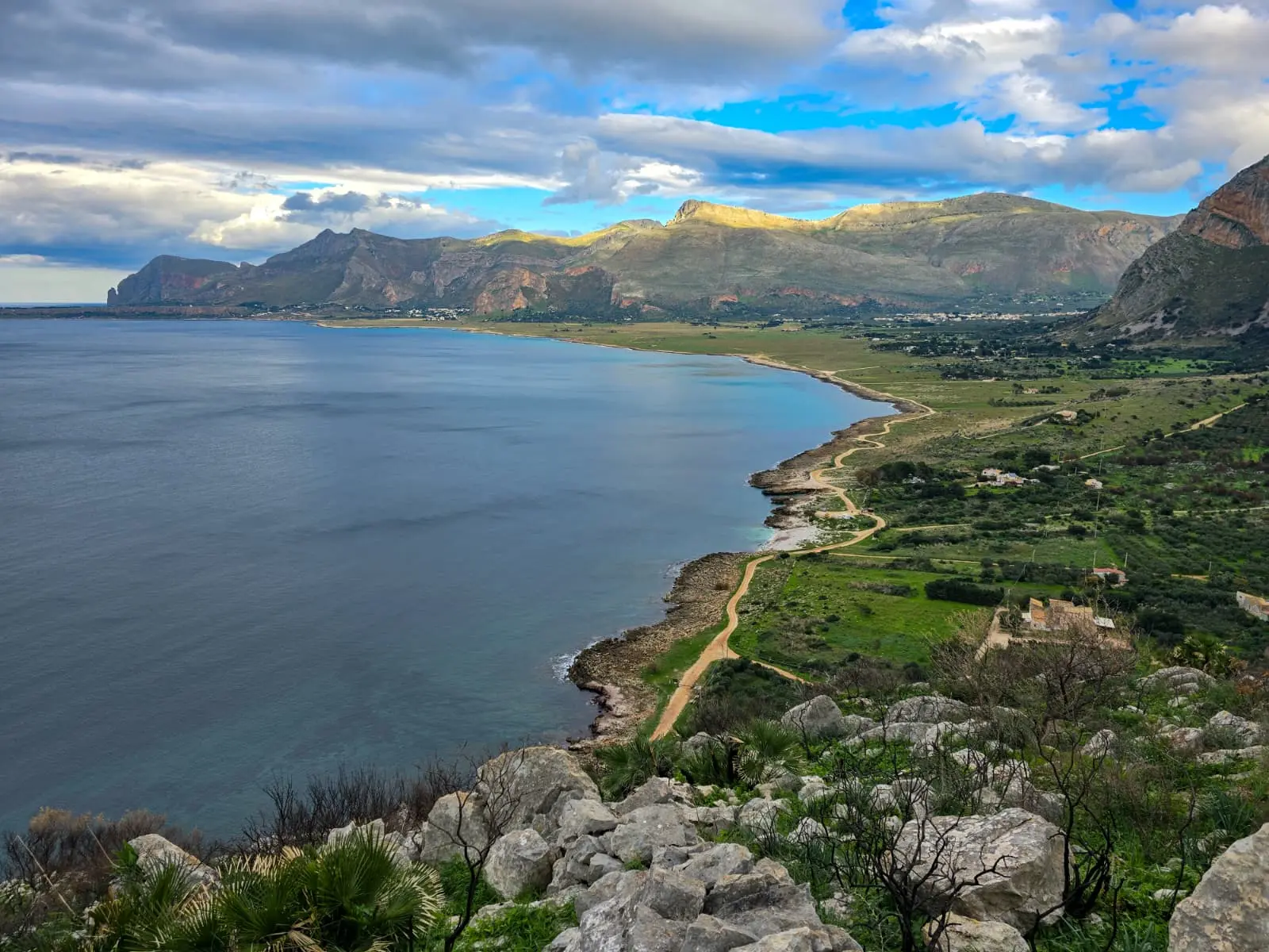 Olive fresche e olio d'oliva — autentica cucina siciliana